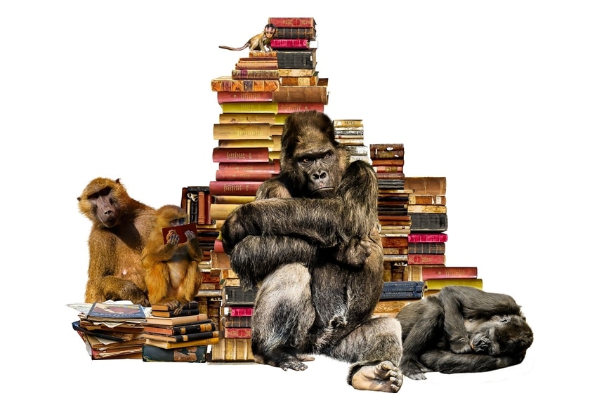 Pile of legal texts surrounded by monkeys and primates